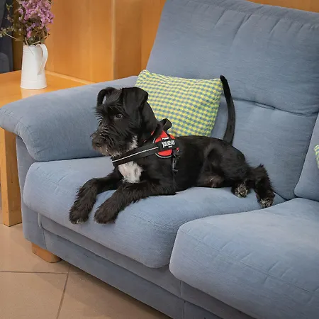 Ξενοδοχείο Silva